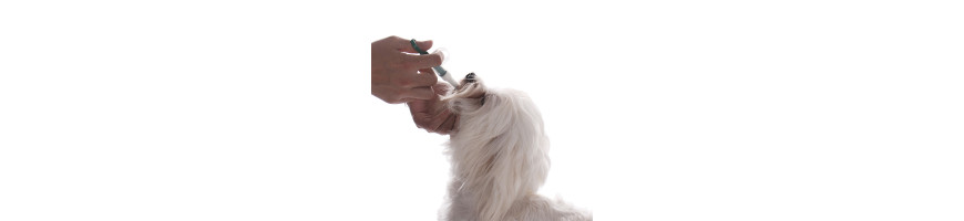 Pet Drugs/Water Feeder 餵藥/餵水產品