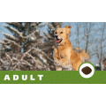 CASA-FERA Adult Dog 天然黑醇母保健糧成犬配方 (狗場專用-素色袋包裝)  15kg x 10