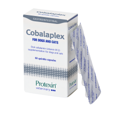 Protexin Cobalaplex 維他命B12及B9補充劑 60 粒裝 