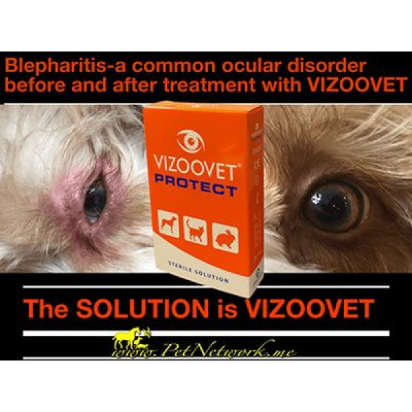 VizooVet Sterile Solution Eye Drop 動物專用點眼液 10ml