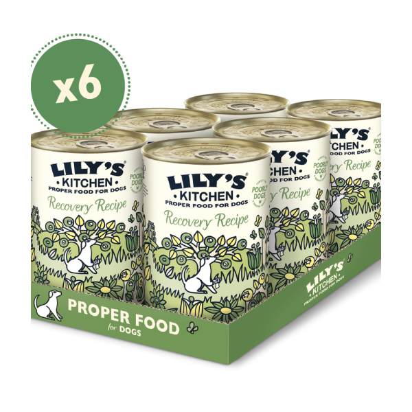 LILY'S KITCHEN Recovery Recipe Dog Wet Food 腸胃進補餐 犬用主食罐 400g x6