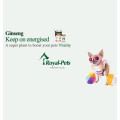 Royal-Pets Ginseng Extract 150mg For Dogs 純活人參 60粒膠囊