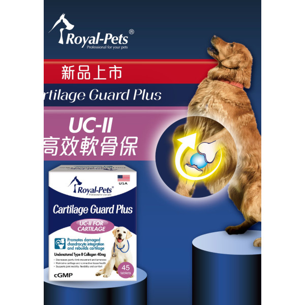 Royal Pets Cartilage Guard Plus UC-II 高效軟骨保 45片