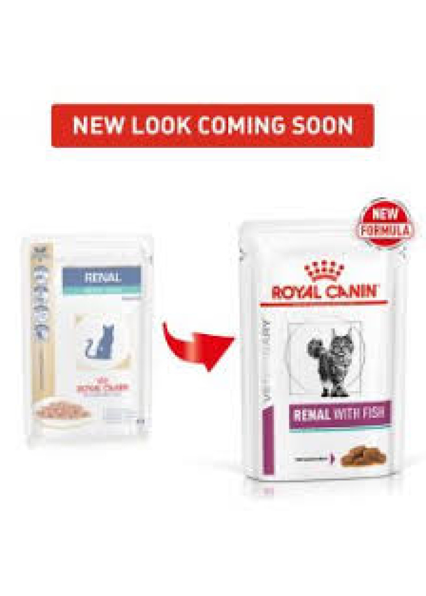 royal canin renal rf23 feline