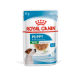 Royal Canin  Mini Puppy Gravy 10個月或以下幼犬 濕糧包 85g X12