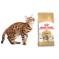 Royal Canin Bengal Adult Food 孟加拉豹貓專用糧 2kg