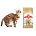Royal Canin Bengal Adult Food 孟加拉豹貓專用糧 10kg