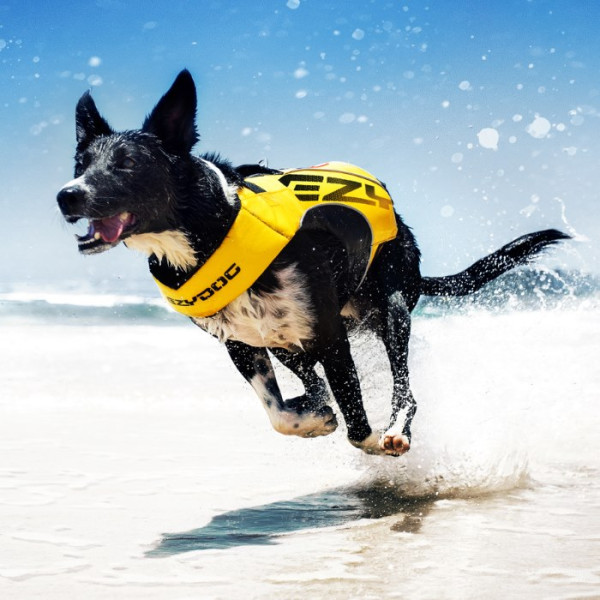 EZYDOG Micro DFD Dog Life Jacket 寵物浮水衣(黃色) L