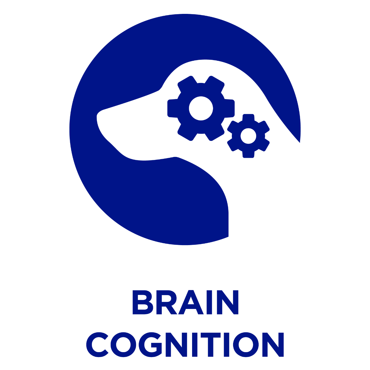 Brain Cognition